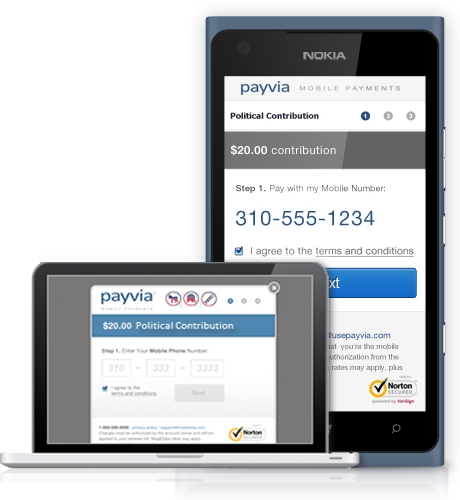 Mobile Finance Success Story: Payvia