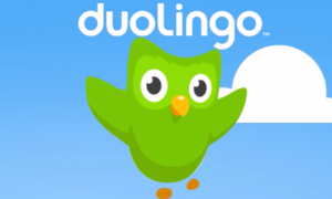 Duolingo language learning app logo