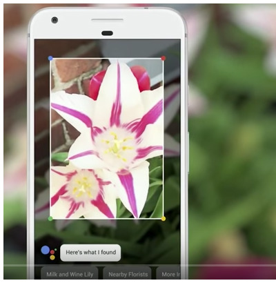 Google Lens demo