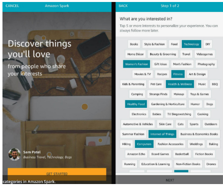 Amazon Spark interests