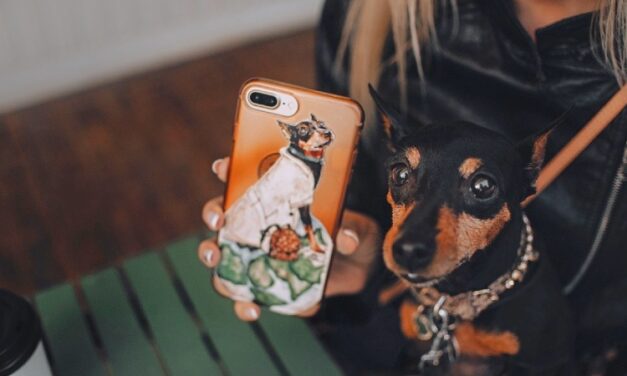 5 fun ways you can personalize your phone with art